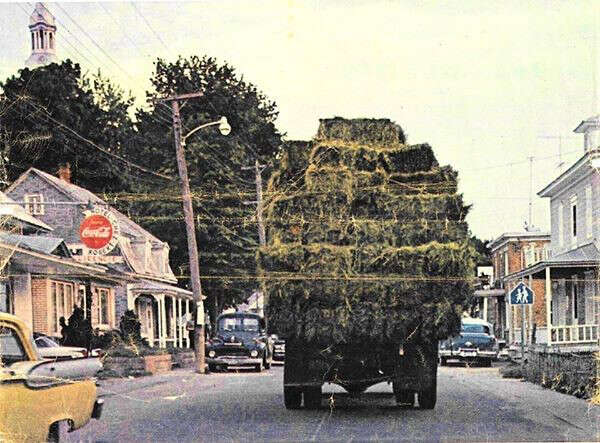 D 2018 011 FB-B388-190-0115