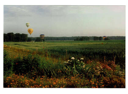 D 2018 011 FB-SG139-040-0084