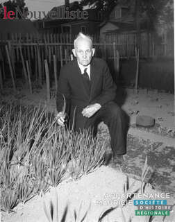 D 2020 007-G338-020-0033