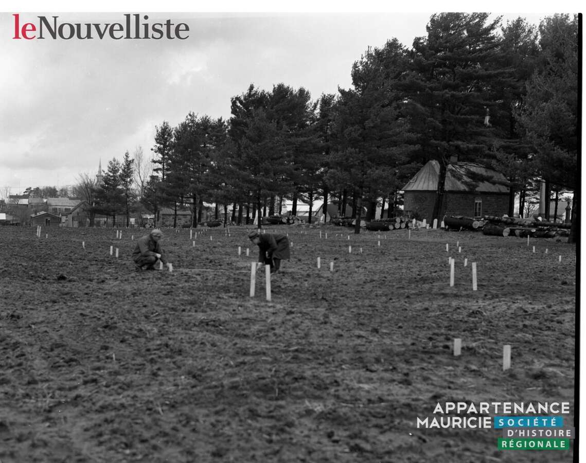 D 2020 007-G338-110-0059