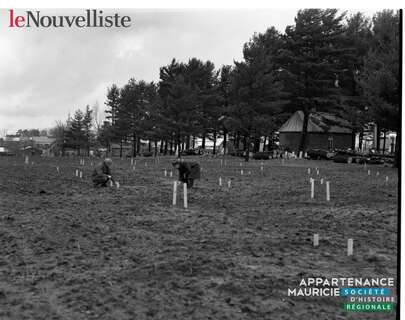 D 2020 007-G338-110-0059