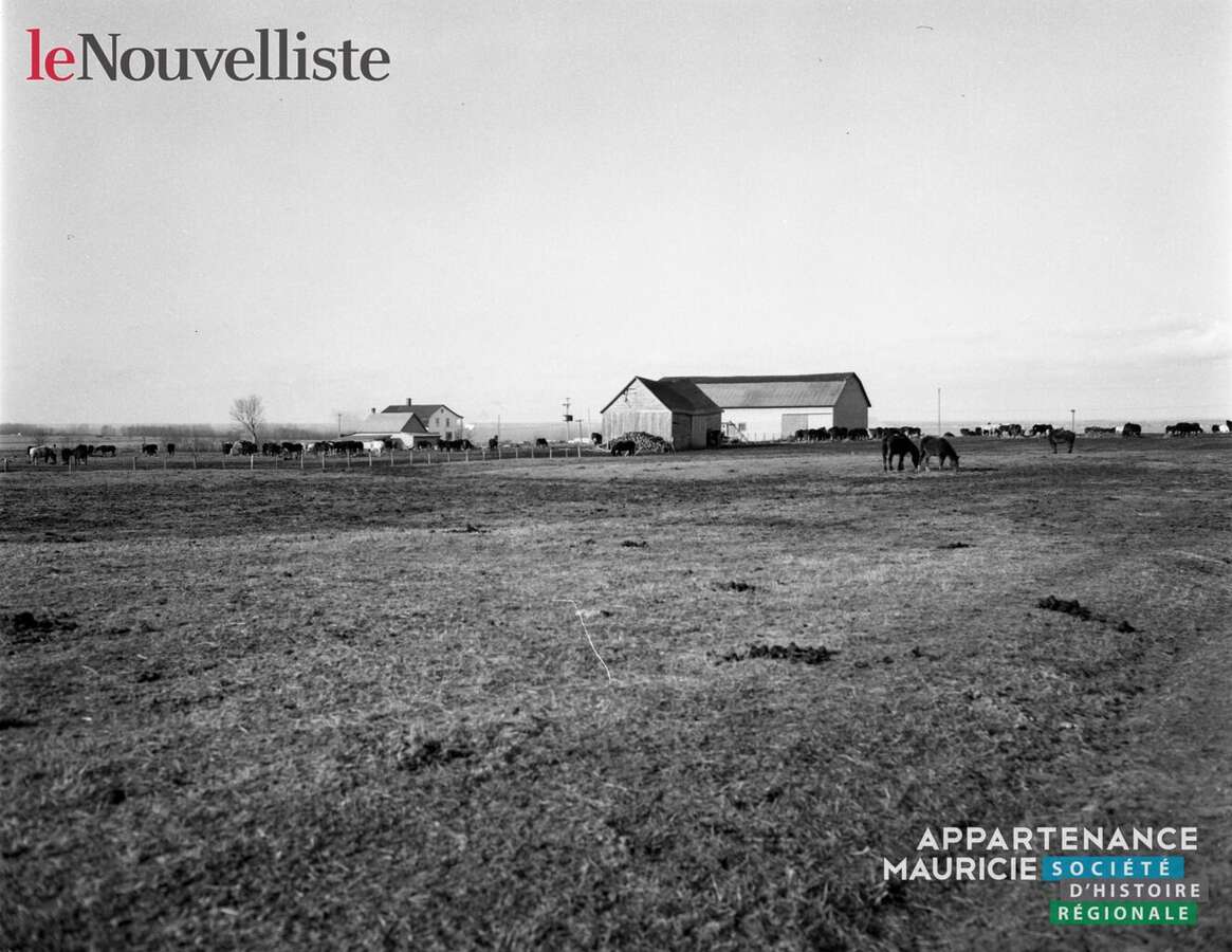 D 2020 007-G338-160-0050