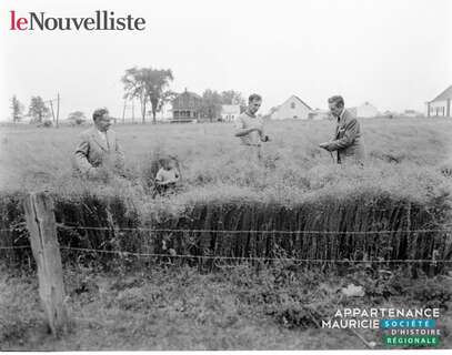 D 2020 007-G338-210-0036