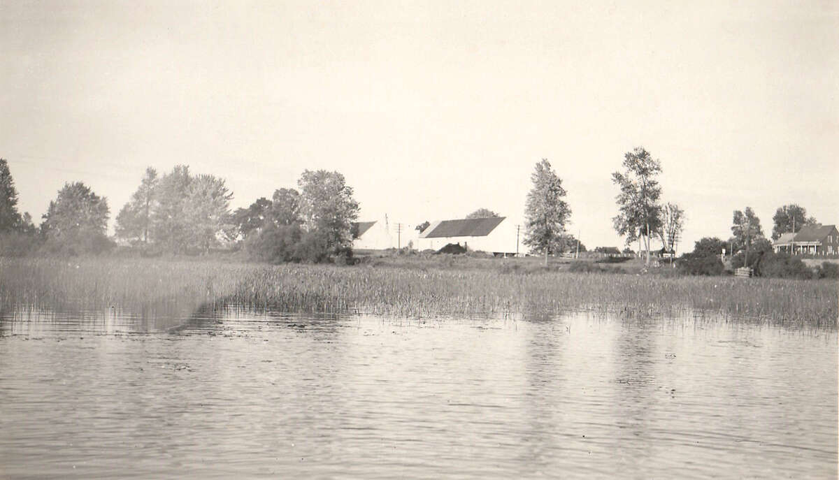 D 2021 006-SG139-100-0024