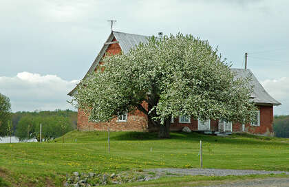 D 2022 100-SG139-060-001