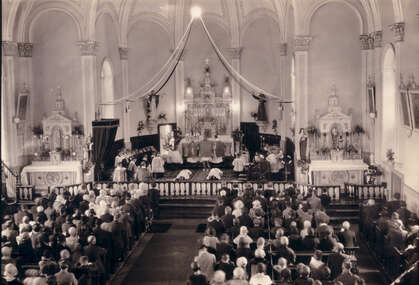 D 2022 101-SA133-020-013