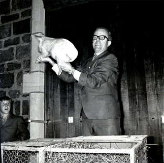 D 2022 64-SA133-040-010