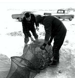 D 2022 64-SA133-150-016