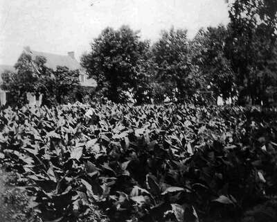 D 2023 02-B388-210-006