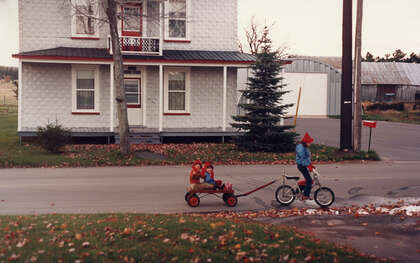 D 2026 13-P923-060-017