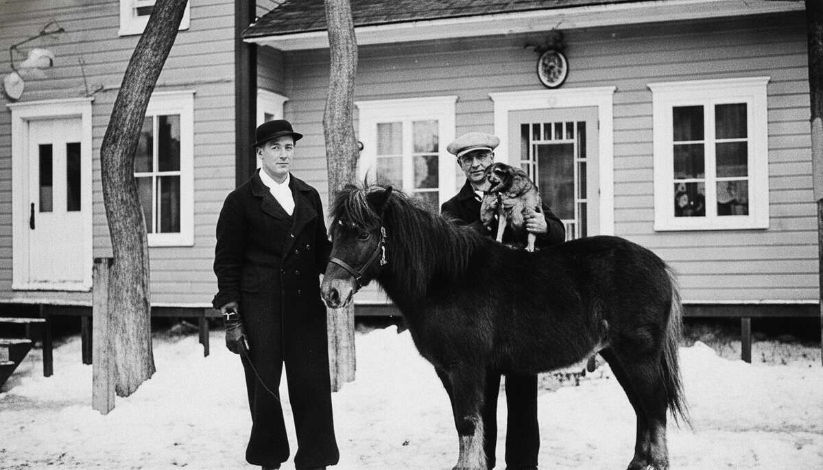 D 2026 13-SG156-020-074