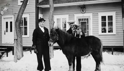 D 2026 13-SG156-020-074