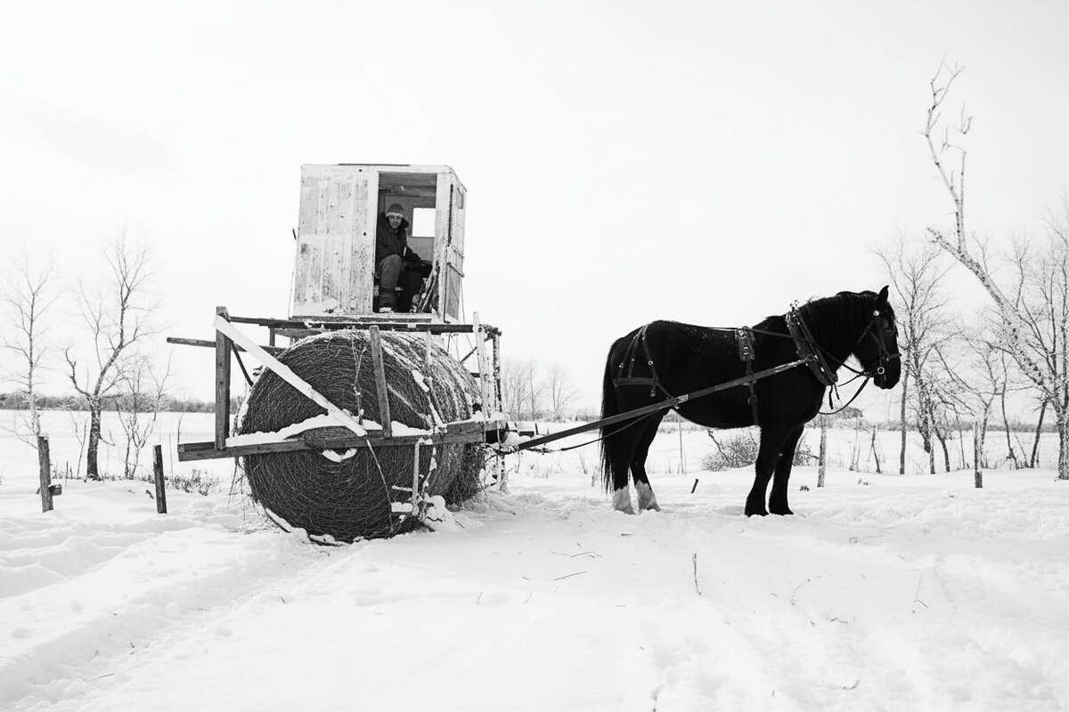 D 2026 13-SG156-150-007