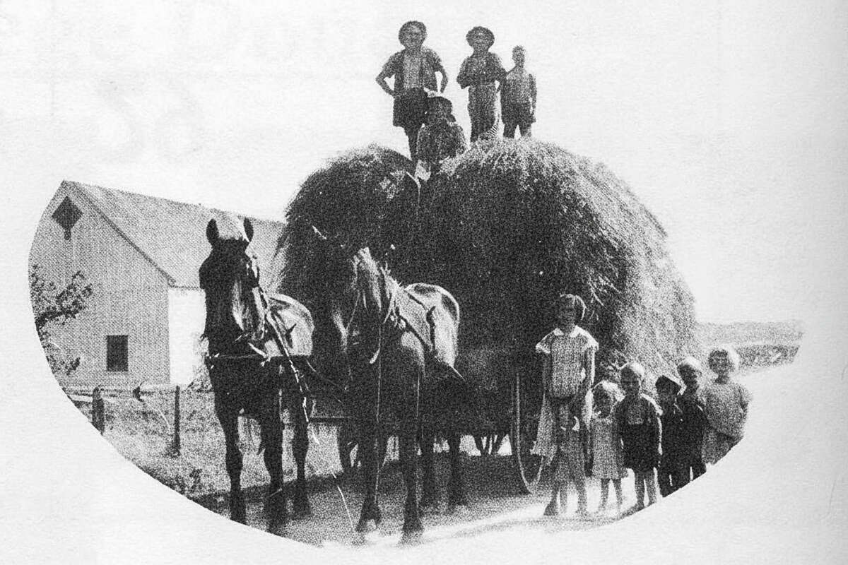 D 2026 13-SG156-210-005