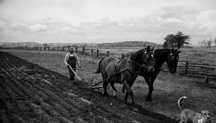 D 2026 13-SG156-210-044