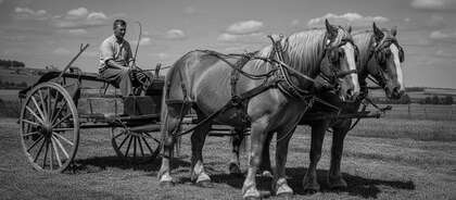 D 2026 13-SG156-210-059