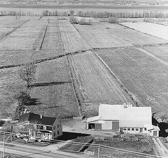 FM 01 VBTS PB 1995-G338-210-0001