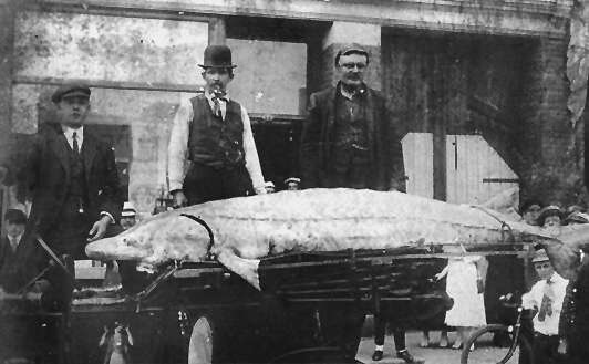 FM 01 VBTS PB 1995-SA133-160-0020