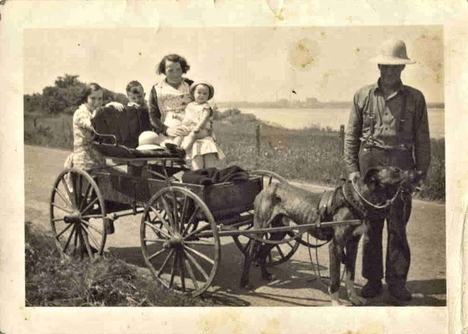 FM 01 VBTS-SA133-020-0083