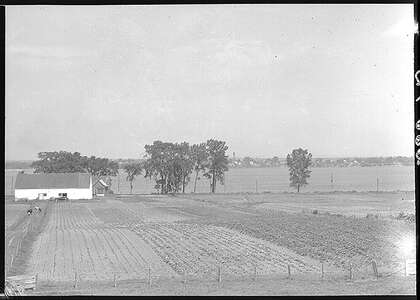 FM 01 VBTS-SA133-210-0001