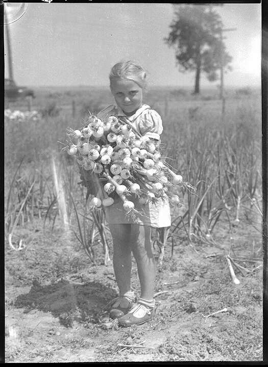 FM 01 VBTS-SA133-210-0002