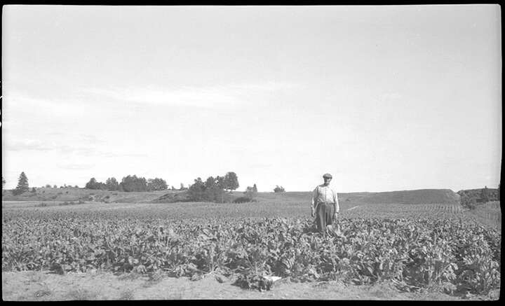 FM 01 VBTS-SA133-210-0004