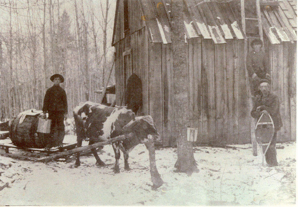 FMPL 0001-SG139-010-0179