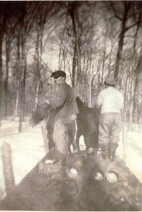 FMPL 0001-SG139-010-0375