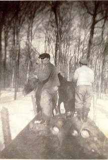 FMPL 0001-SG139-010-0375