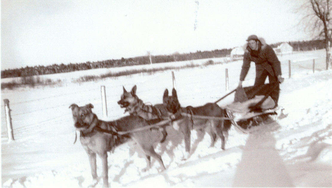 FMPL 0001-SG139-040-0176