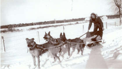 FMPL 0001-SG139-040-0176