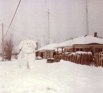 FMPL 0001-SG139-040-0282