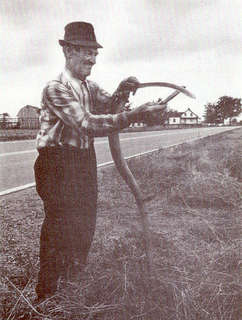 FMPL 0001-SG139-150-0331