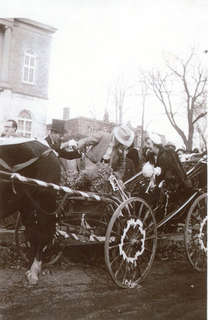 FMPL 0001-SG139-170-0333