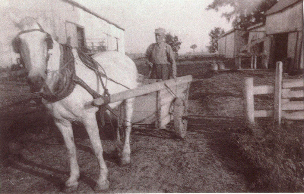 FMPL 0001-SG139-210-0136