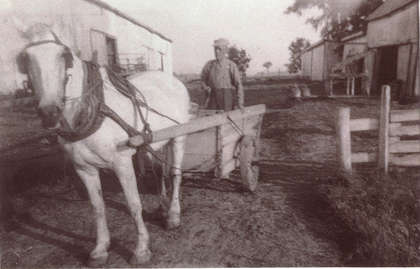 FMPL 0001-SG139-210-0136