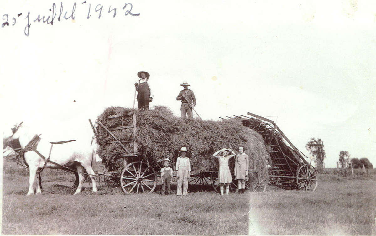 FMPL 0001-SG139-210-0146