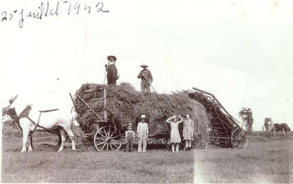 FMPL 0001-SG139-210-0146