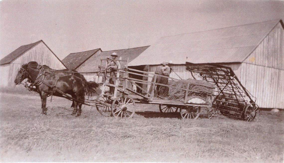 FMPL 0001-SG139-210-0147