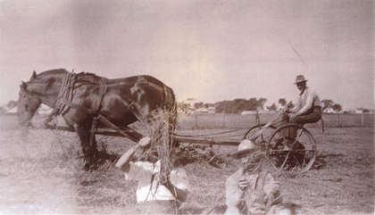 FMPL 0001-SG139-210-0148