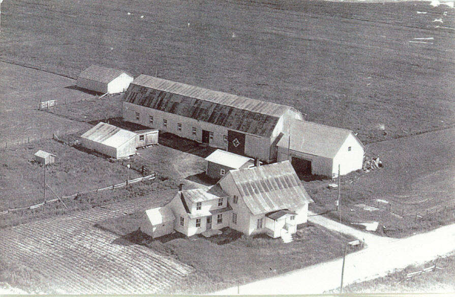 FMPL 0001-SG139-210-0151