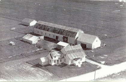 FMPL 0001-SG139-210-0151