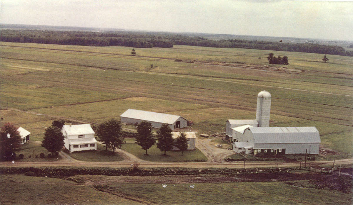 FMPL 0001-SG139-210-0175