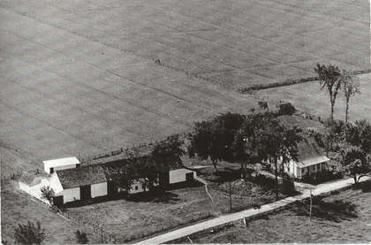 FMPL 0001-SG139-210-0177