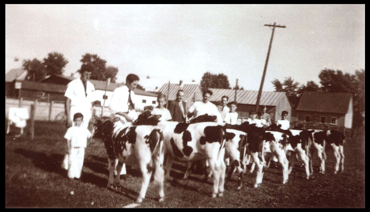 FMPL 0001-SG139-210-0272