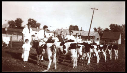 FMPL 0001-SG139-210-0272