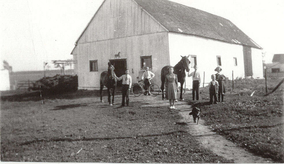 FMPL 0001-SG139-210-0364