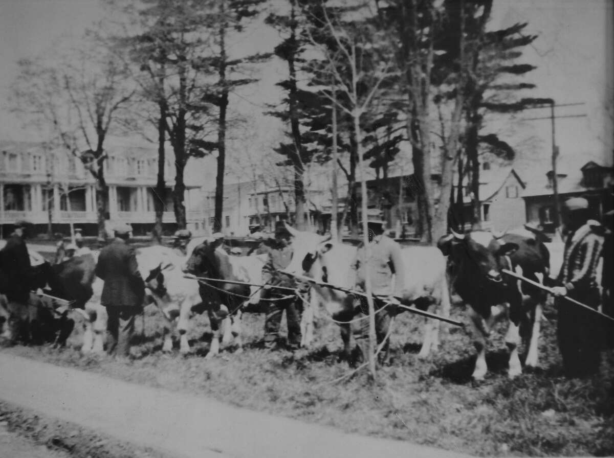 FP 0011-SG139-210-0006