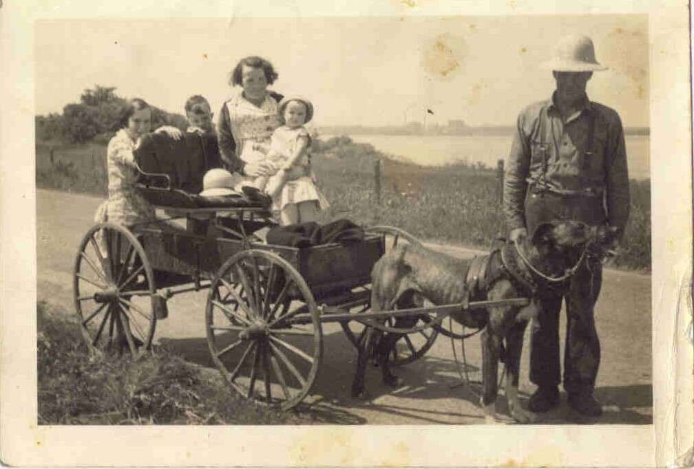 Promenade à chien «bob ». Membres de la famille Cormier de Sainte-Angèle. Photo prise le long de la grand'Rivière  (on voit Trois-Rivières de l'autre coté du fleuve)